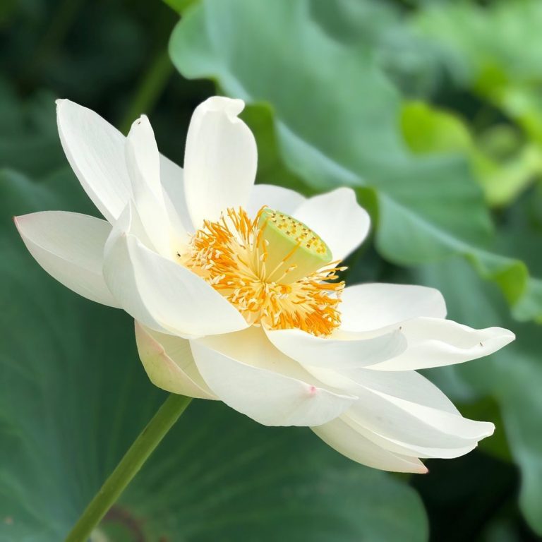 【プレスリリース】茨城県の農繁期を労働力シェアで支援